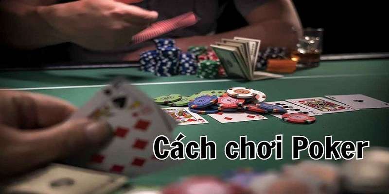 Cách cược Poker cho người mới